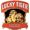 Lucky Tiger