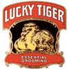 Lucky Tiger Lucky Tiger
